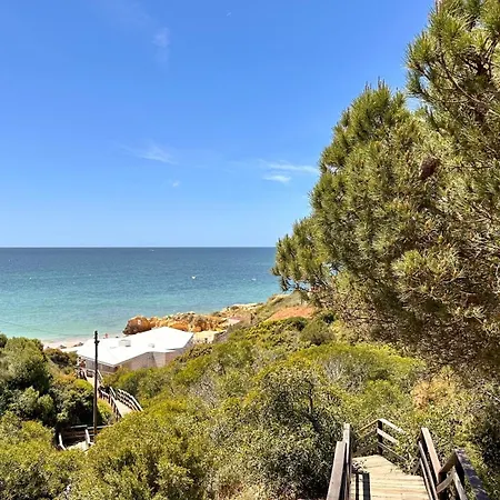 Bicos J By Check-in Portugal Lejlighed